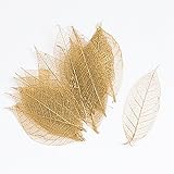 ~Coco Heart~ ハーバリウム　花材　ミニスケルトン　リーフ　大　ゴールド　10枚　ハーバリウム　キャンドル　アロマワックスバー　作りに（木の実・ドライフラワー.リース、アレンジ）