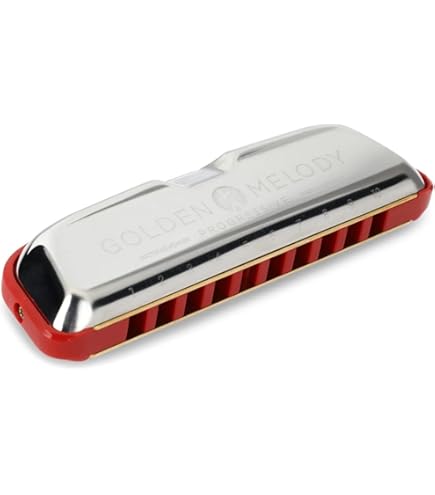 Amazon | JDR Trochilus 10穴 クロマチック ハーモニカ キー