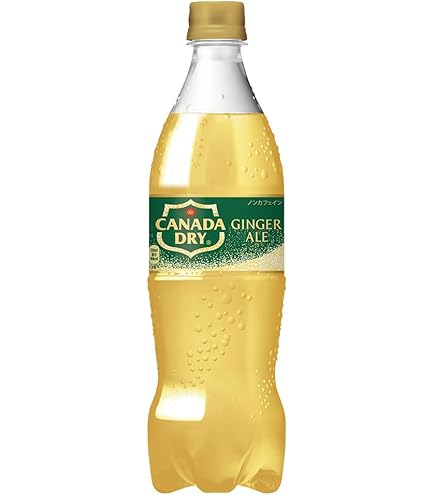 Amazon.co.jp: アサヒ飲料 颯【自動販売機用】 600mlペットボトル×24本
