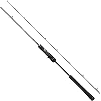 Amazon | シマノ(SHIMANO) ベイトリール 両軸 ジギング 17 