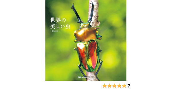 世界の美しい虫 研司 須田 本 通販 Amazon 世界の美しい虫 研司 須田 本 通販 Amazon
