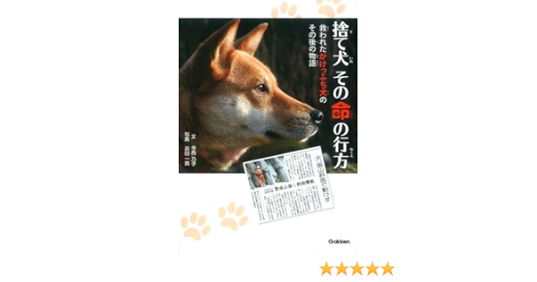 捨て犬 その命の行方 救われたがけっぷち犬のその後の物語 動物感動ノンフィクション 今西 乃子 一男 浜田 本 通販 Amazon 捨て犬 その命の行方 救われたがけっぷち犬のその後の物語 動物感動ノンフィクション 今西 乃子 一男 浜田 本 通販 Amazon