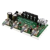 Baoblaze DX0409 100W　デュアル　チャンネル　デジタル　パワー　オーディオ　ステレオ　アンプボード　DC 12V