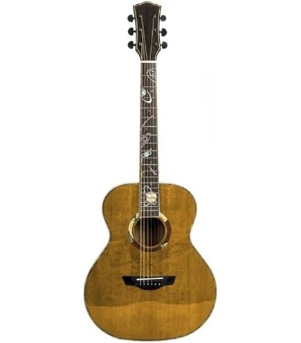 Amazon | Art & Lutherie (アートアンドルシアー) エレアコギター