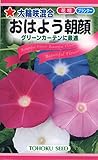 トーホク 大輪咲混合 おはよう朝顔