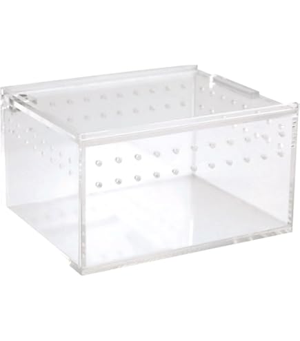 Amazon | 飼育容器 特大 クリア（幅43×奥行き34×高さ26cm