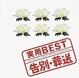 ���pBEST �u���ʁE�����v