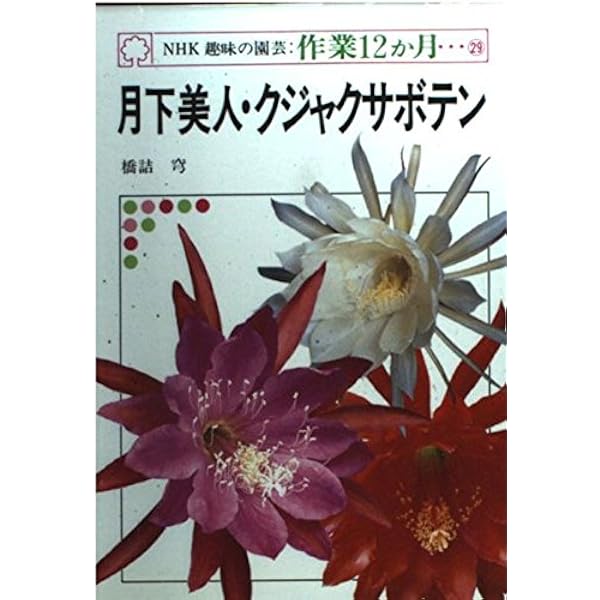 Amazon.co.jp: 月下美人・クジャクサボテン (NHK趣味の園芸―よくわかる