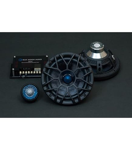 Amazon.co.jp: BLUE MOON AUDIO ブルームーンオーディオ RX165 ACTIVE