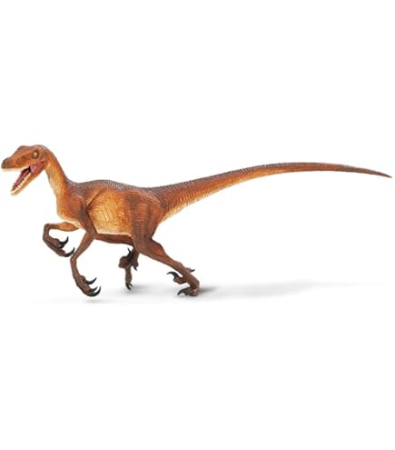 Amazon | サファリ レプリカ トリケラトプス | プラモデル 通販