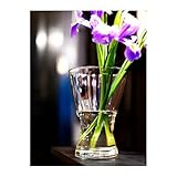 インテリア　お買い得商品　クリアガラス花瓶　[Candy Style　アイテムセット] [並行輸入品]