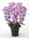 アートフラワー 造花 クイ－ン胡蝶蘭5本立L〔フロアタイプ〕フラワーアレンジメント インテリア 光触媒 花 スプレー インテリアグリーン 胡蝶蘭 消臭 大型
