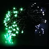 電光ホーム イルミネーション ストレート 10m 100球 グリーン & ホワイト ブラックケーブル