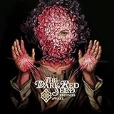 Becomes Awake [12 inch Analog]