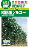 タキイ種苗 緑肥 ソルガム 緑肥用ソルゴー BSG558EBF