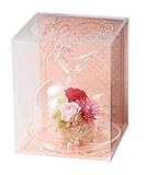 Paseo クリアケース入り プリザーブドフラワー フローリードーム レッド 13.5×13.5×H16.5cm S-19RD