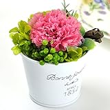 プリザーブドフラワー 花花 手のひらサイズ ブリキバケツ (カーネーション) 枯れないお花 お祝い プチギフト プレゼント (オリジナルメッセージカード ラッピング 無料対応) ピンク