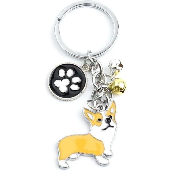 Amazon.co.jp: AYOMI 笑顔口開けコーギー グッズ キーホルダー 雑貨