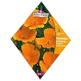 [春・秋まき　ハナビシソウ・花菱草　花タネ]カリフォルニアンポピーピュアオレンジ 1袋 ノーブランド品