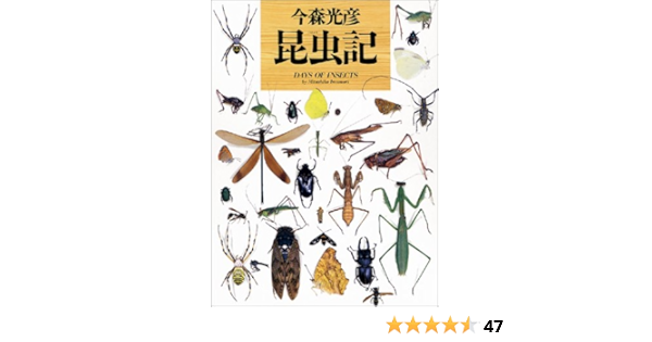 昆虫記 写真記シリーズ 光彦 今森 今森 光彦 勁 遠藤 本 通販 Amazon