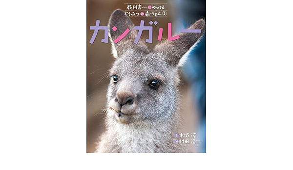 定番の冬ギフト 本 6巻セット 教科書にのってるどうぶつの赤ちゃん 送料無料 その他絵本 児童書 Adamscounty Iowa Gov