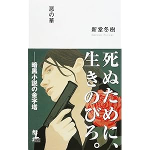 悪の華 (カッパノベルス) 悪の華 (カッパノベルス)