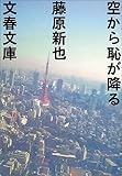 空から恥が降る