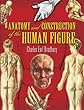 Anatomy and Construction of the Human Figure (Dover Art Instruction)