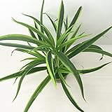 Merssavo 人工偽プラスチックグリーングラス植物の花ホームオフィスパーティーガーデン装飾