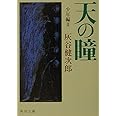 天の瞳 少年編II (角川文庫)