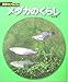 メダカのくらし (科学のアルバム) メダカのくらし (科学のアルバム)
