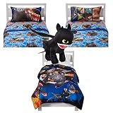 Dreamwork's How To Train Your Dragon 2 - 5 Piece Twin Bedding Set - Reversible Comforter, Sheet set 