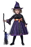 California Costumes Hocus Pocus Toddler Costume Size 3-4 [並行輸入品]