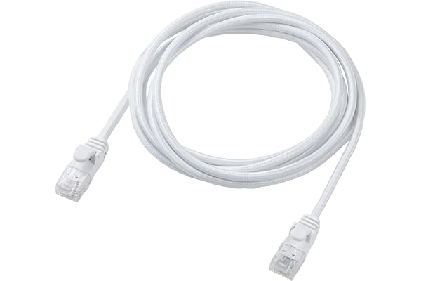 エレコム LANケーブル CAT6A 2m 爪折れ防止 メッシュケーブル ホワイト ECLD-GPAM/WH20
