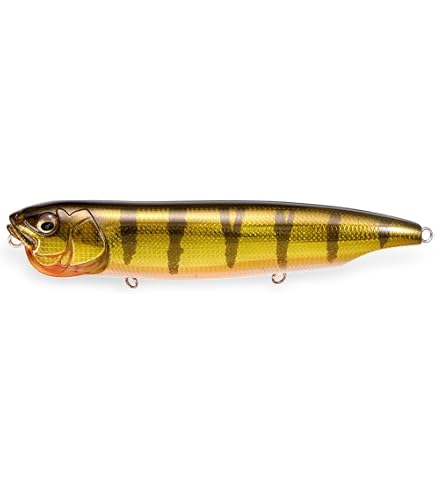 Amazon.co.jp: メガバス(Megabass) ルアー EELER(イーラ) アボカド