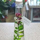 ハーバリューム（ハーバリウム） m-5 「ローズ」 お祝い 誕生日プレゼントやインテリアに癒やしの空間 ビンの中におとじ込められたおしゃれな植物や花と液体「薔薇・バラ」