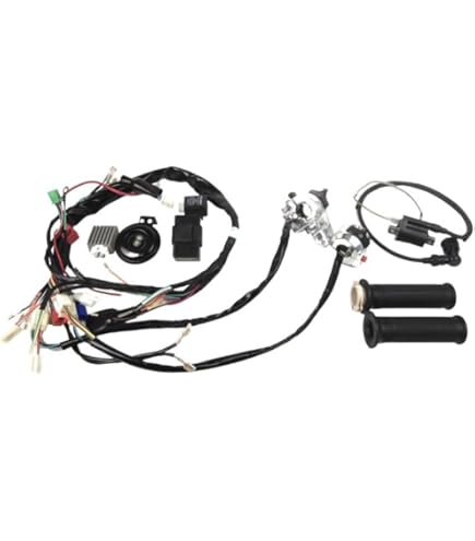 Amazon.co.jp: CBXスイッチBOX専用 変換 ハーネス ゼファー X用 : 車