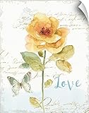リサ・監査壁Peel「レインボーシード壁アートプリント花柄VIII Love 16" x 20" 2492246_14_16x20_none