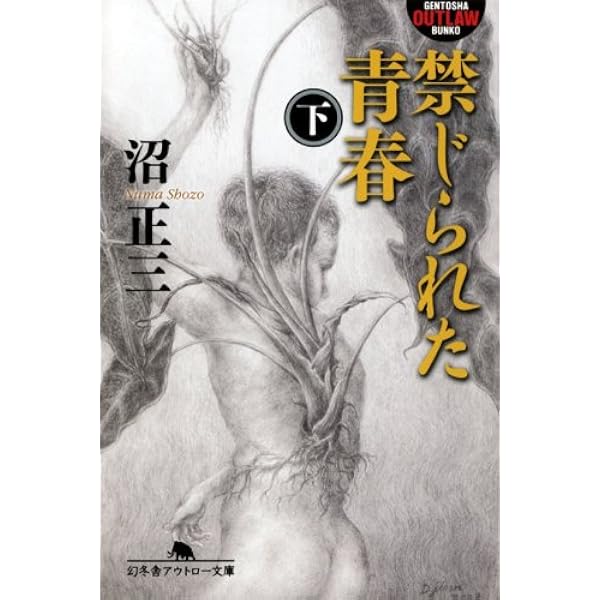 Amazon.co.jp: 禁じられた青春 上 (幻冬舎アウトロー文庫 O 36-6) : 沼 