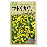 カネコ種苗 草花タネ マトリカリア ゴールデンボール 10袋セット 147