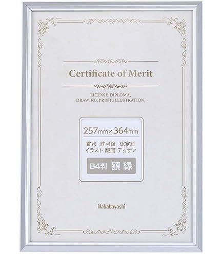 Amazon.co.jp: コクヨ 額縁 アルミ 賞状B4 シルバー カ-221C : ホーム