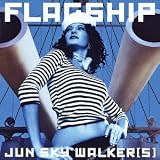 �X�J�C�n�C JUN SKY WALKER(S)