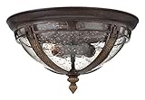 Hinkley 2903RB-GU24 Outdoor Key West Light [並行輸入品]