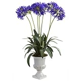 ほぼ自然1332-pp African Lily With Urn、パープル