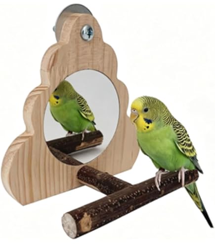 Amazon | Parlayildiz バードミラー | 鳥用止まり木と鏡のオウム