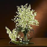 Dancing LadyシルクOrchid Flower ( 6 stems )