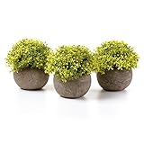 T4U 造花アレンジ ベビーティアーズ 人工観葉植物 インテリア イエロー プレゼント 3点入り