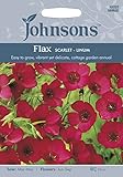 JOFL 英国ジョンソンシード Flax Scarlet フラックス・スカーレット