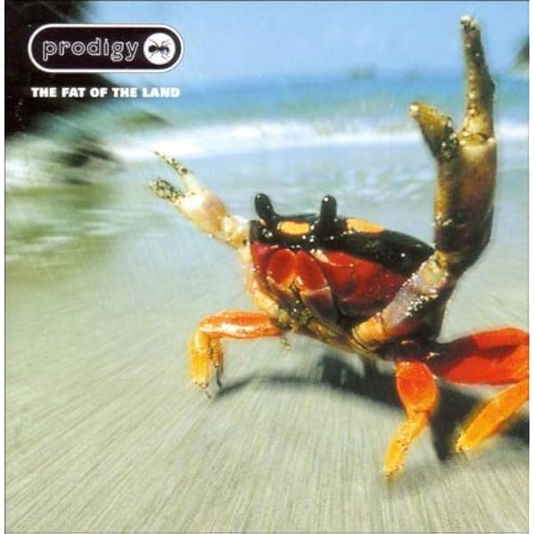 Amazon.co.jp: The Fat of the Land: ミュージック