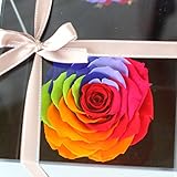 Azurosa(アズローザ) 大輪 プリザーブドフラワー ギフト枯れない花 レインボー メリアローズ アクリルミラーBOX